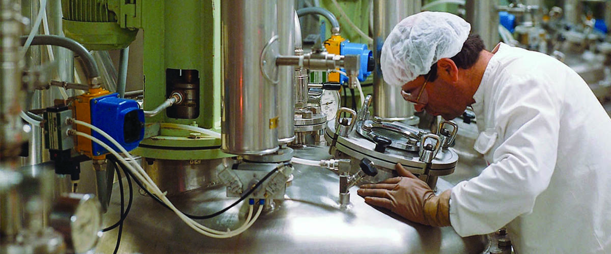Man looking into bioreactor